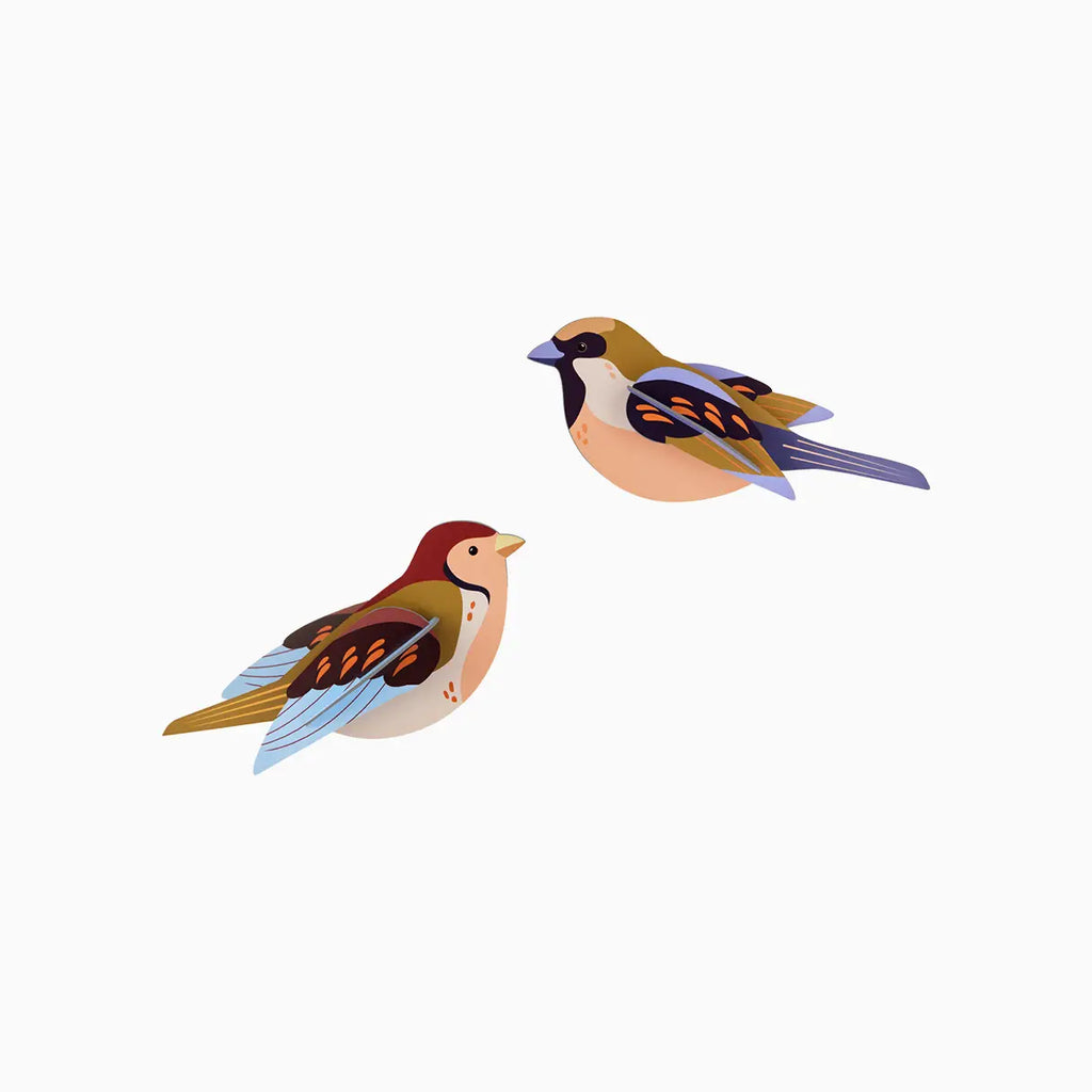 Studio Roof – Birds
