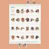 Stay Home Club – Sticker Sheet