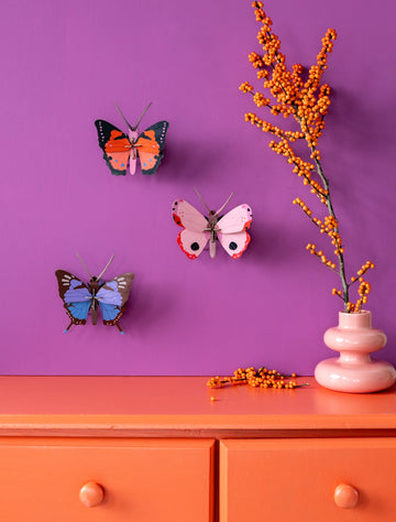 Studio Roof – Bugs