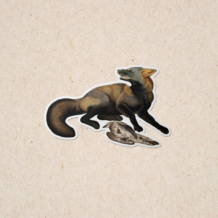 American Red Fox Sticker