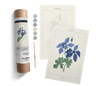 Coloready Paint by Numbers