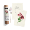 Coloready Paint by Numbers