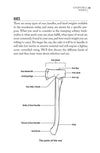 Bushcraft 101