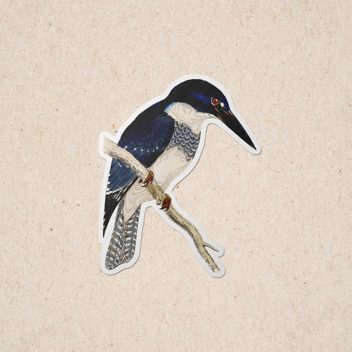 Kingfisher Sticker