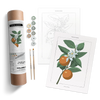 Coloready Paint by Numbers