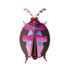 Studio Roof – Bugs