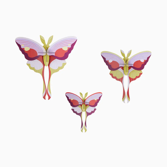 Studio Roof – Bugs