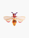 Studio Roof – Bugs