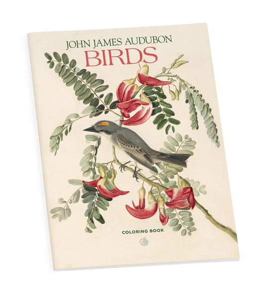 John James Audubon Birds Coloring Book