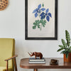 Coloready Paint by Numbers