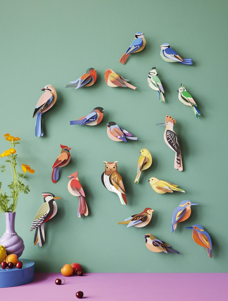 Studio Roof – Birds
