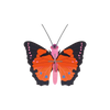 Studio Roof – Bugs