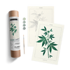 Coloready Paint by Numbers
