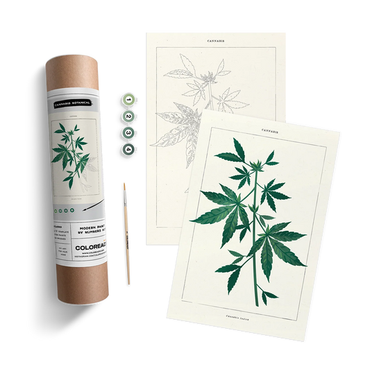 Coloready Paint by Numbers