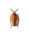 Studio Roof – Bugs