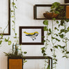 Coloready Bird Study Paint by Numbers Kit