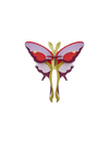 Studio Roof – Bugs
