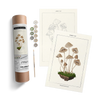 Coloready Paint by Numbers