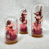 CA Studio – Mini Terrariums