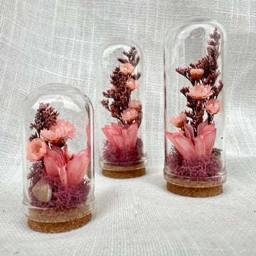 CA Studio – Mini Terrariums