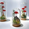 CA Studio – Mini Terrariums