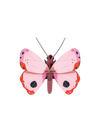 Studio Roof – Bugs