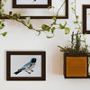 Coloready Bird Study Paint by Numbers Kit