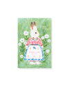 Postcard Set: Her Winter Flowers