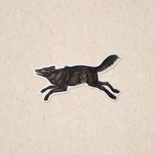 Black American Wolf