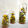 CA Studio – Mini Terrariums