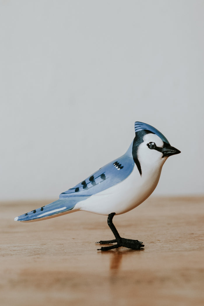 Blue Jay 3”